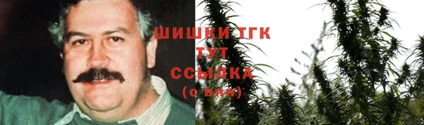 твердый Арсеньев