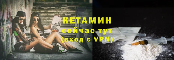 твердый Арсеньев