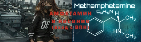 твердый Арсеньев