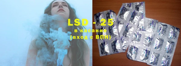 ГАЛЛЮЦИНОГЕННЫЕ ГРИБЫ Аркадак
