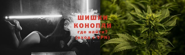 ГАЛЛЮЦИНОГЕННЫЕ ГРИБЫ Аркадак