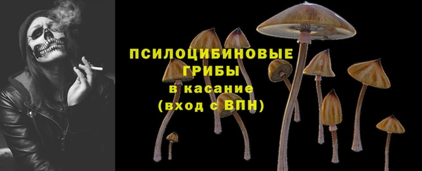 прущая мука Александровское