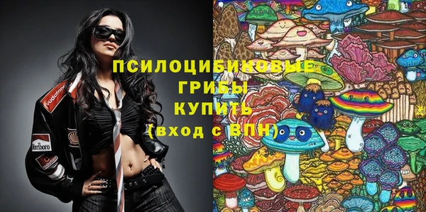 ГАЛЛЮЦИНОГЕННЫЕ ГРИБЫ Аркадак