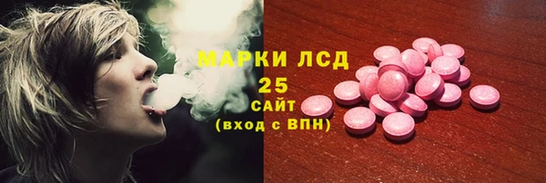 ГАЛЛЮЦИНОГЕННЫЕ ГРИБЫ Аркадак